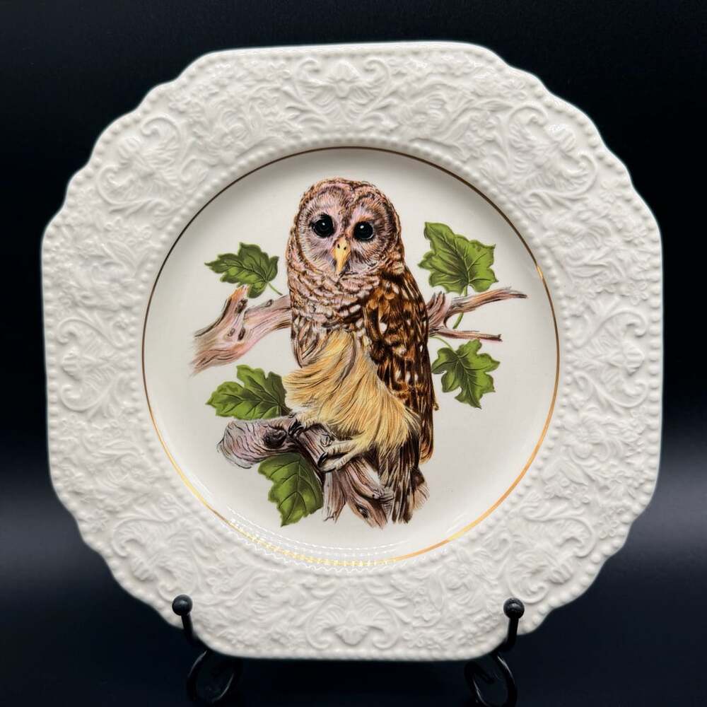 Lord Nelson Pottery Owl Plate Size 8.5 White Gold Trim